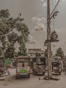A street scene with three auto rickshaws parked along the roadside near a large tree and a utility pole. The sky is partly cloudy, and various buildings are visible in the background. The rickshaws are decorated with colorful paint and designs, adding a vibrant touch to the urban setting.