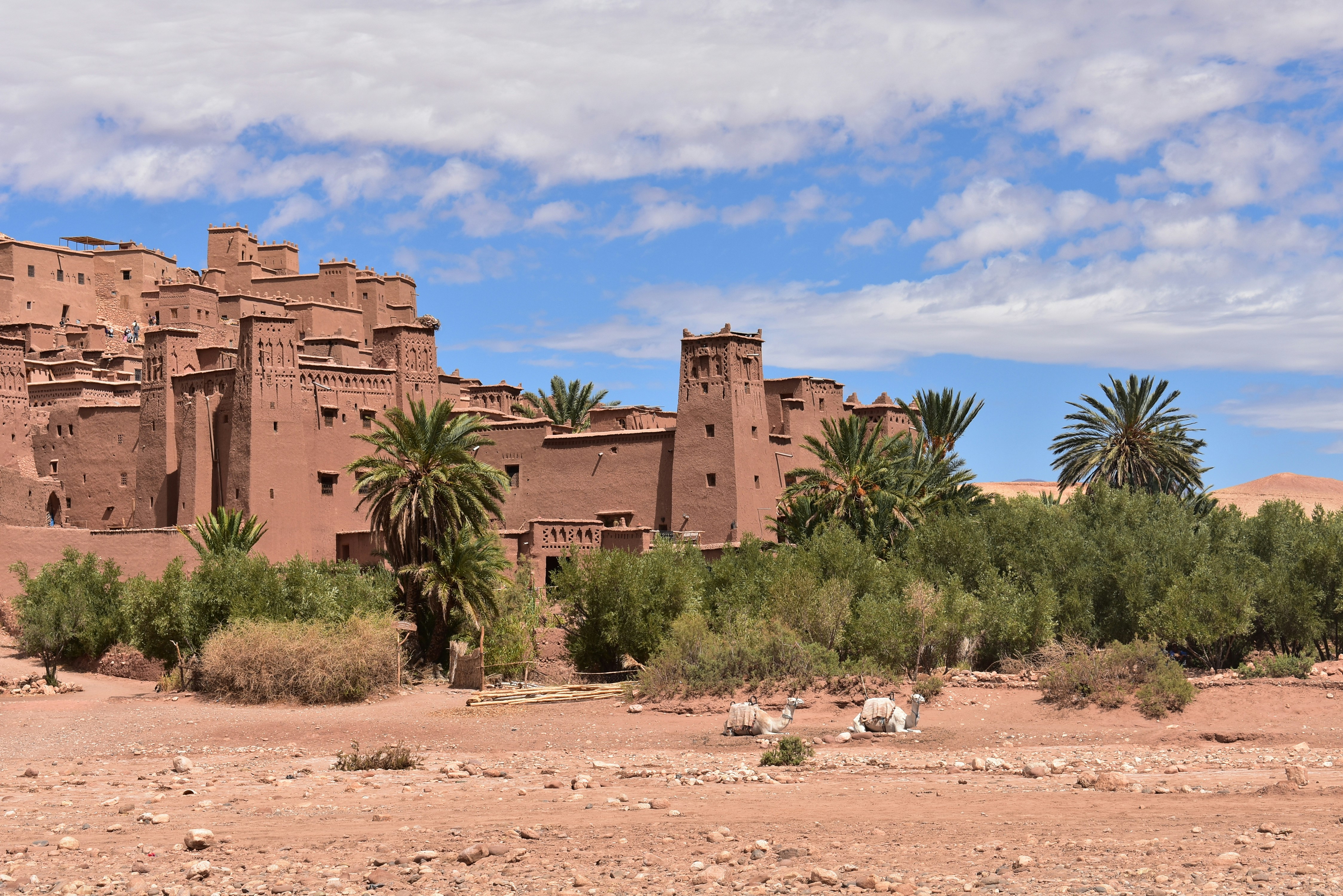 a large building with trees in front of it, 