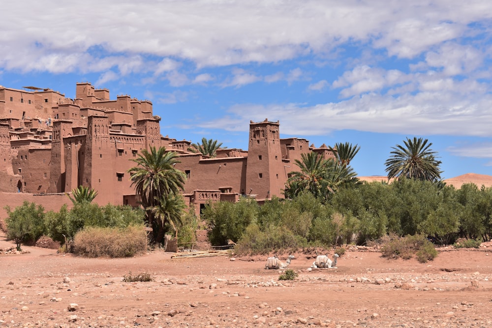 a large building with trees in front of it