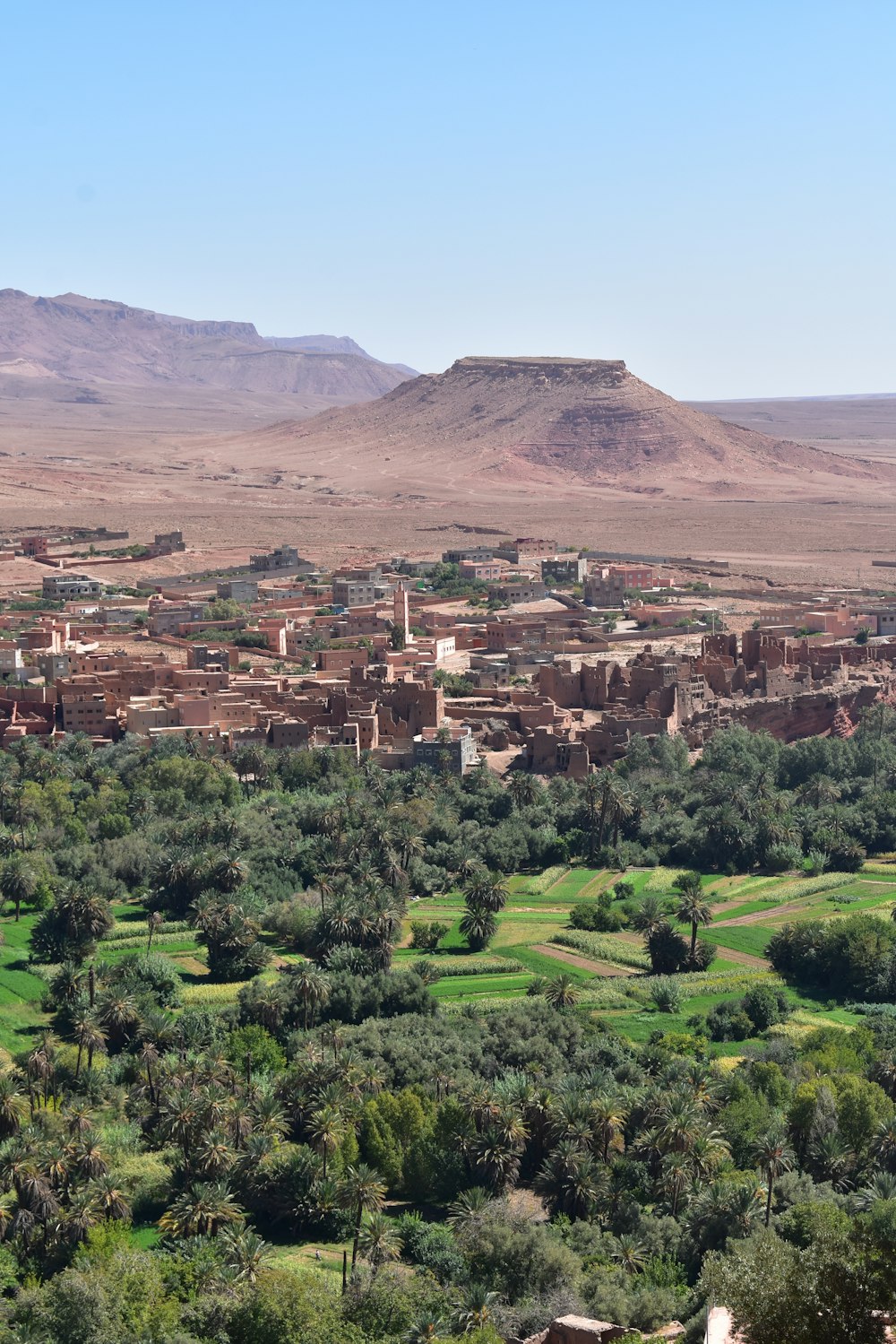 a landscape with trees and hills in the back