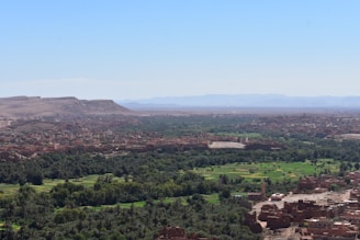 a landscape with trees and buildings