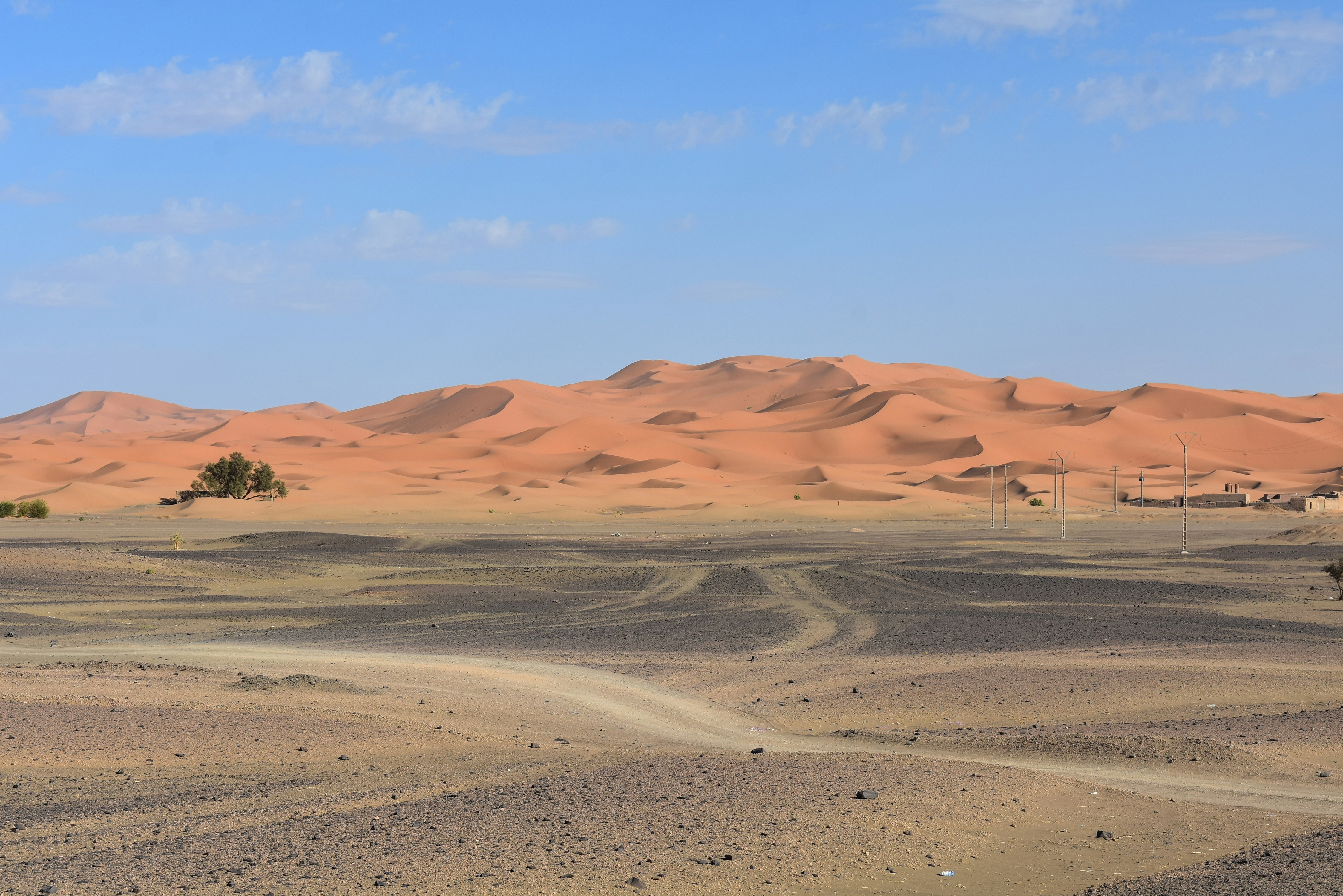 A desert landscape with a few trees