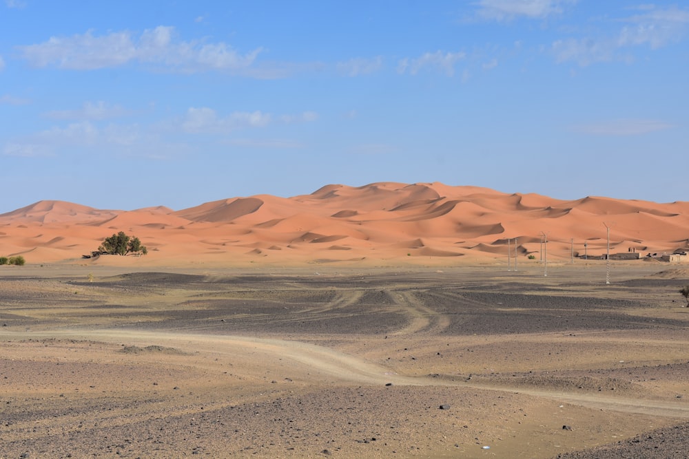 a desert landscape with a few trees