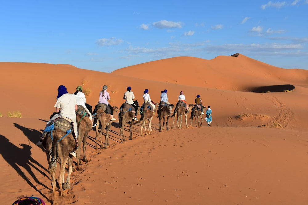 a group of people riding camels in the desert
