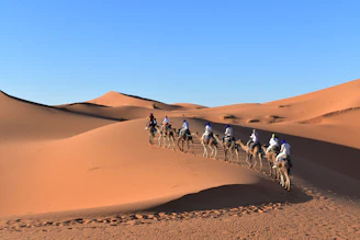 a group of people riding camels in the desert with Sahara in the background