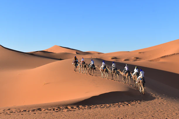 a group of people riding camels in the desert with Sahara in the background