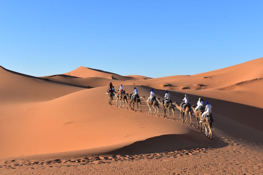 eine Gruppe von Menschen reitet auf Kamelen in der Wüste mit der Sahara im Hintergrund