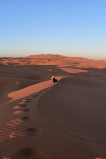 a person walking on a sand dune