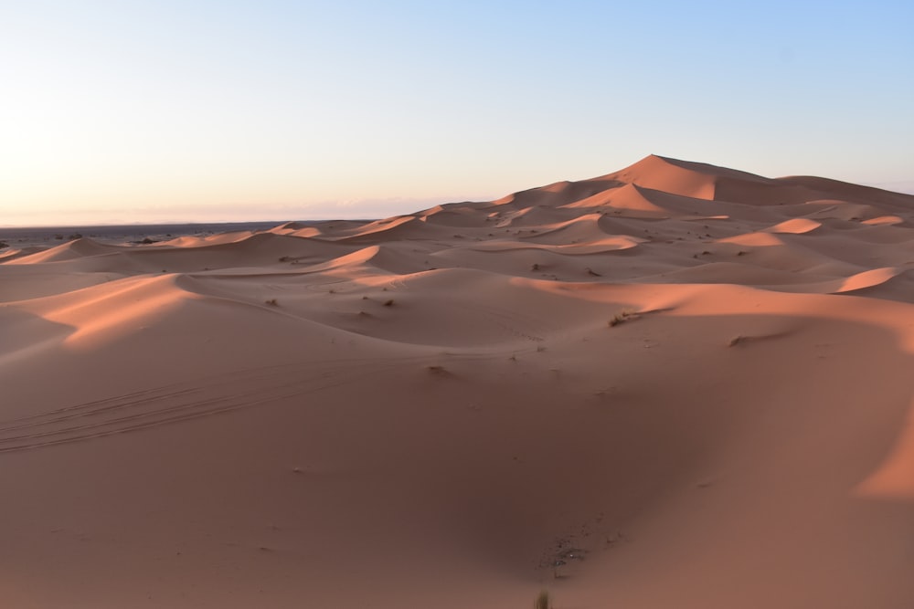 Eine Wüstenlandschaft mit Sanddünen