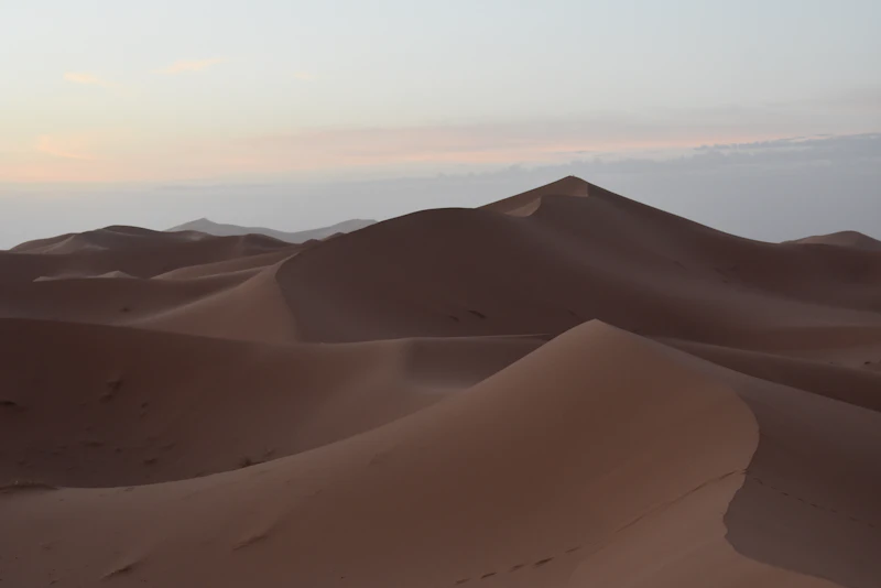امتداد جذور الجمعية الليبية عبر الزمن