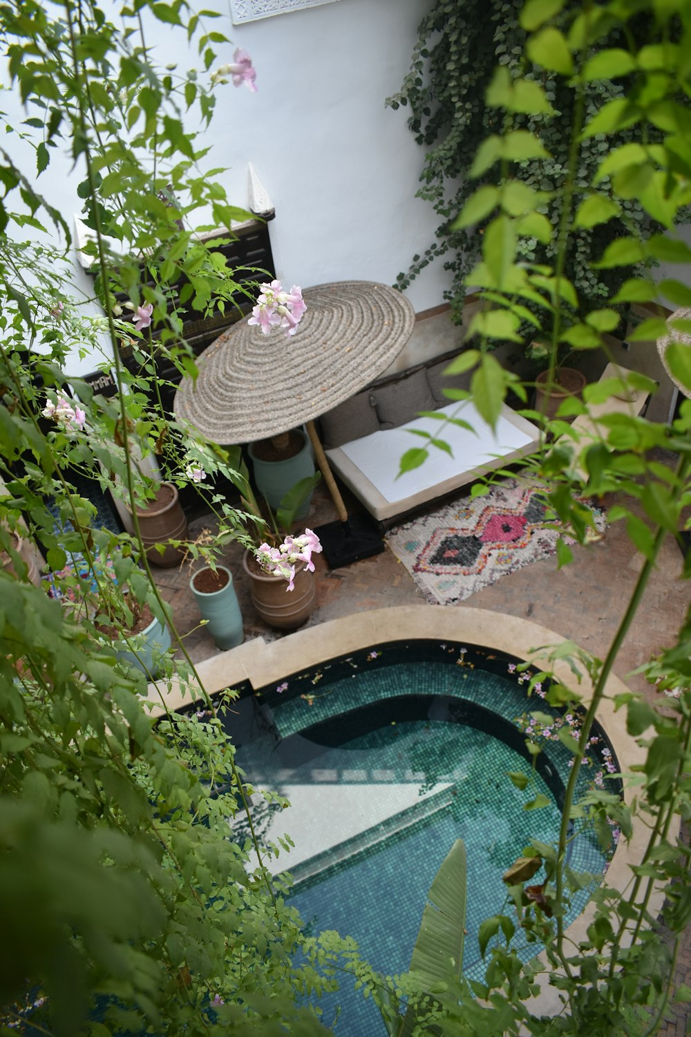 a small pool with a chair and plants around it
