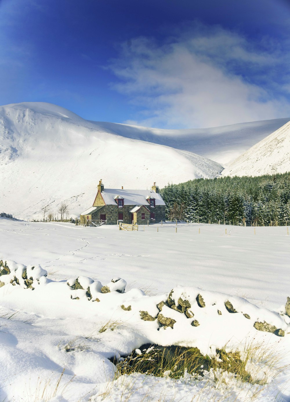 a house in the snow