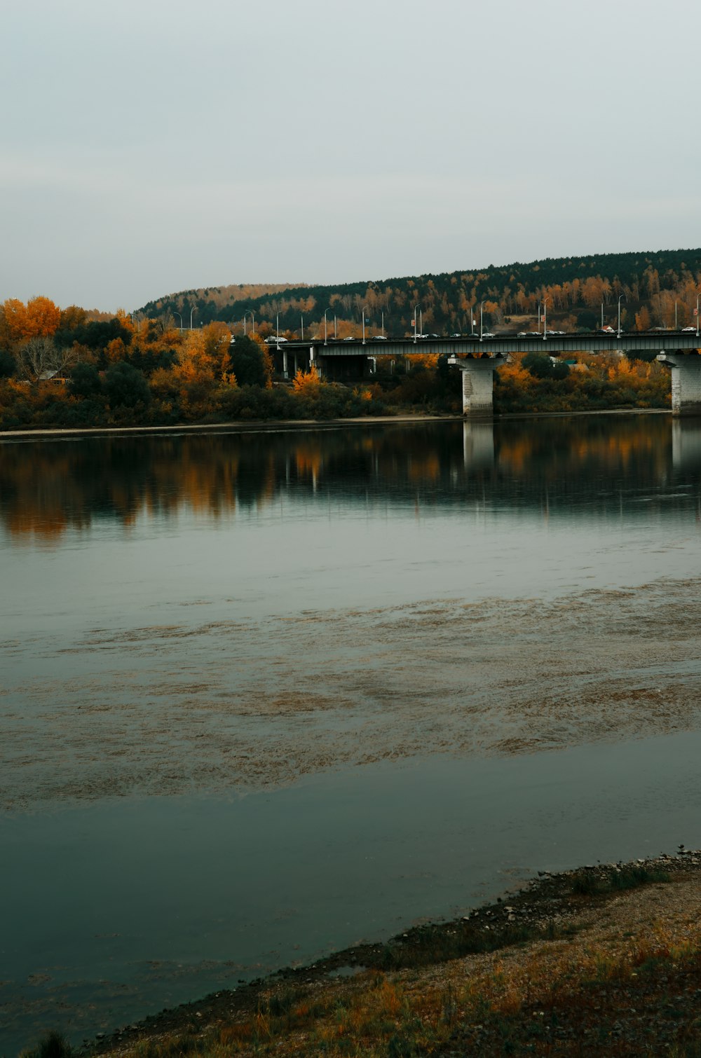 a body of water with trees and a bridge in the background
