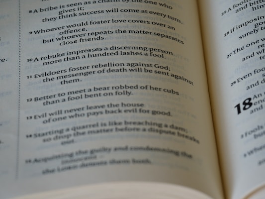 An open book displaying a list of numbered sentences with religious or philosophical content printed in a clear font. The focus is on paragraphs numbered 8 to 18 with some emphasis on certain words through bold text.
