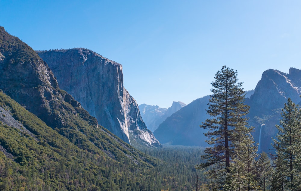 a mountain range with trees