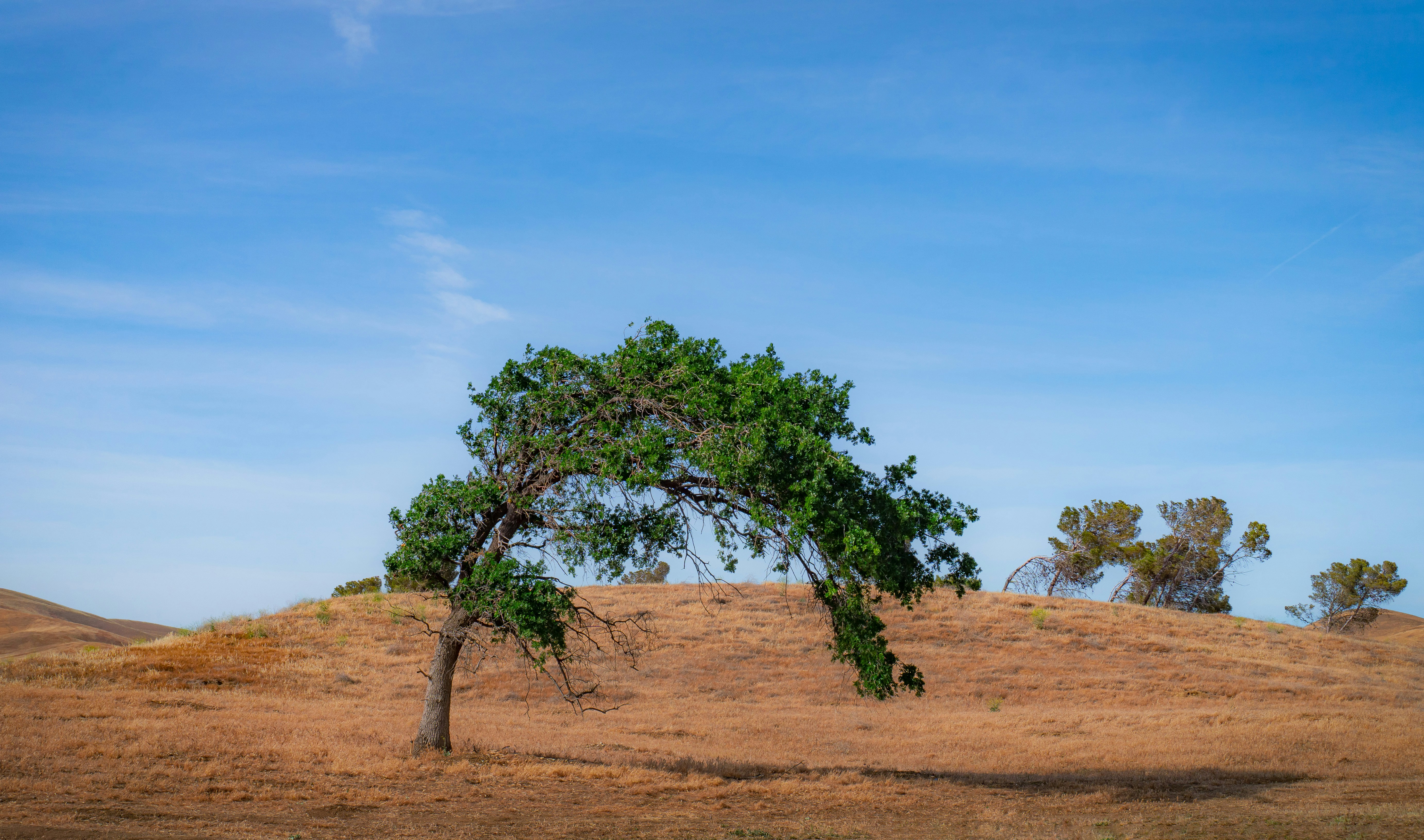 Photo by leonardo_64