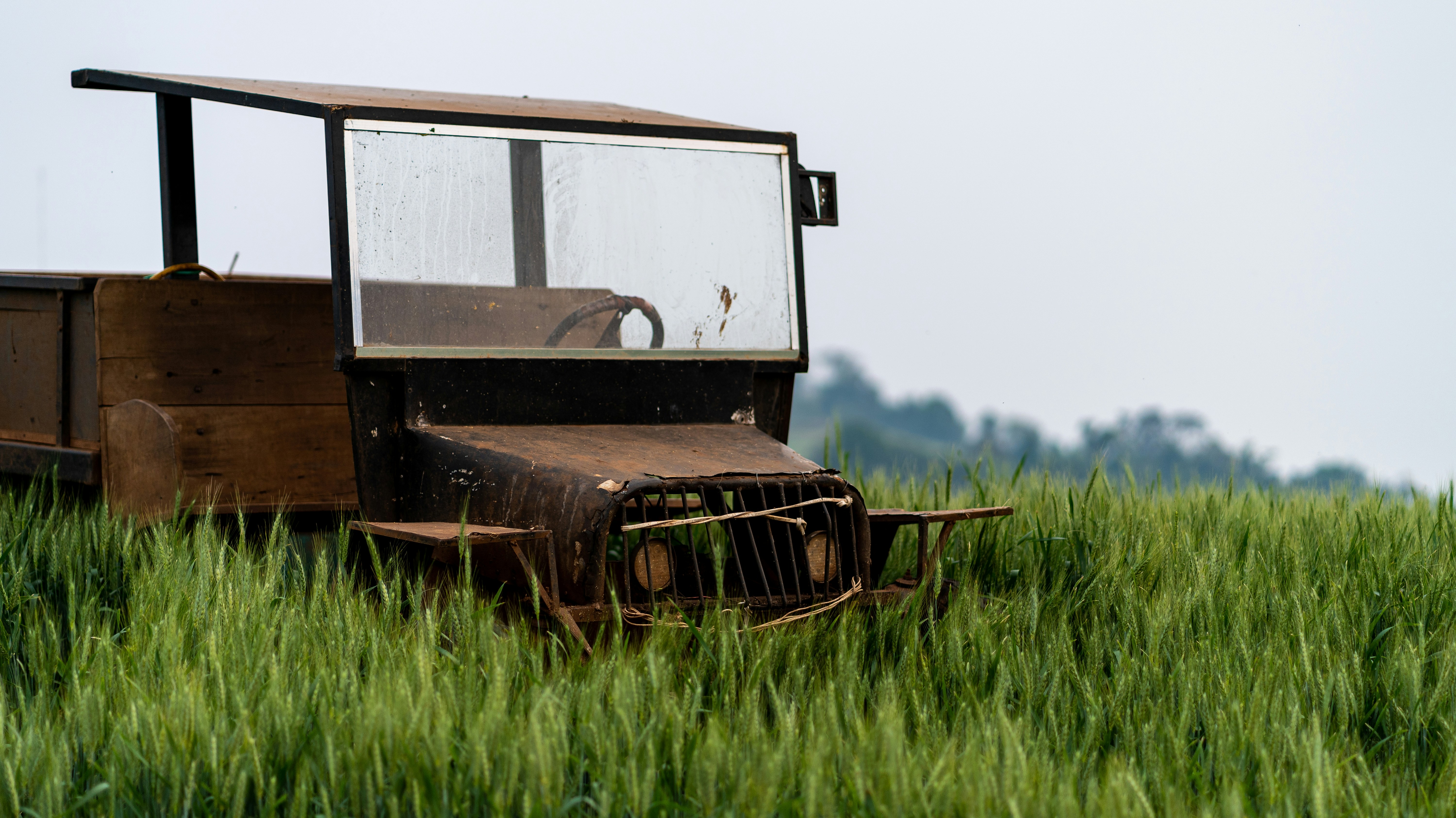 Photo by filipe_cantador