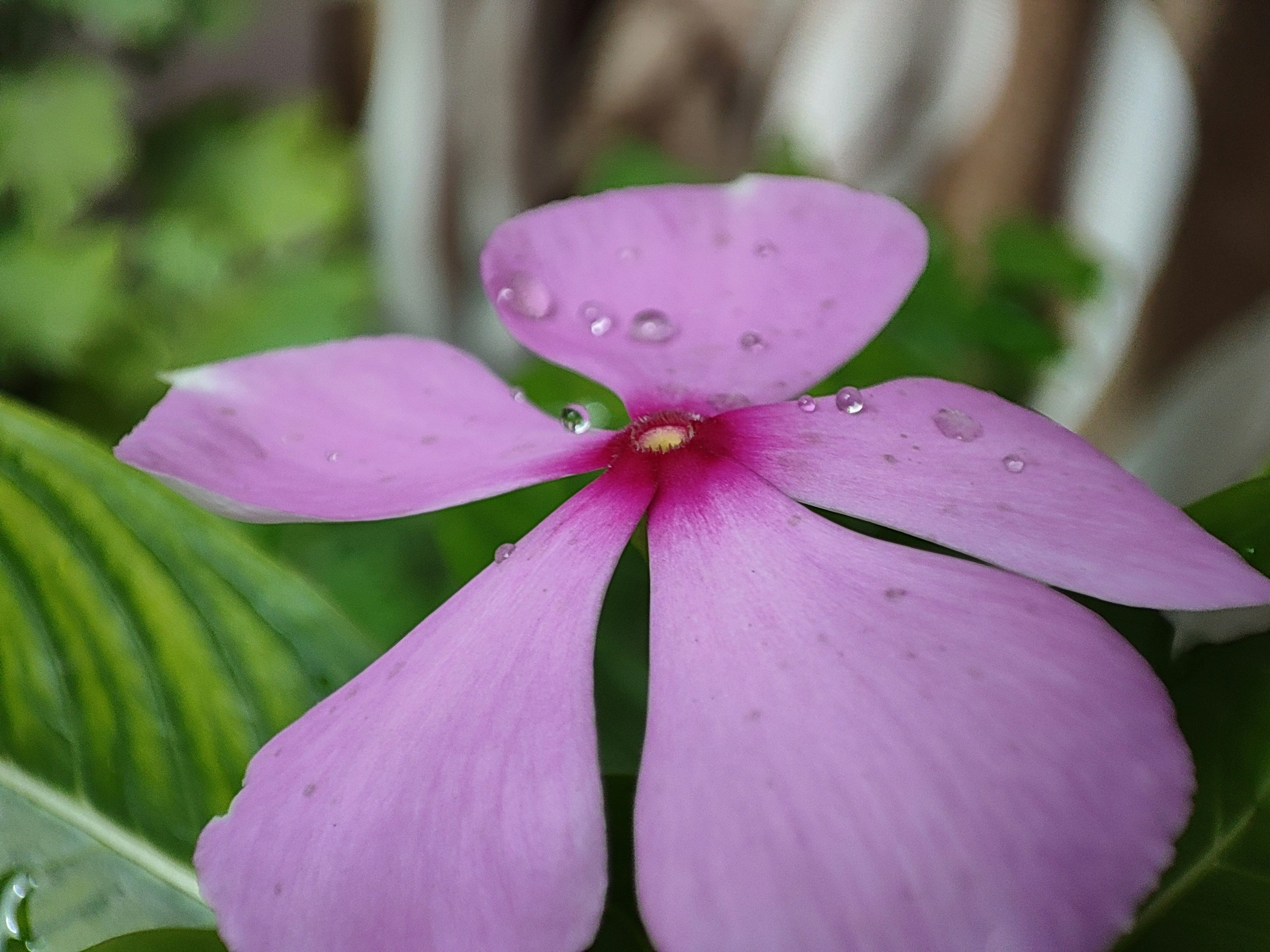 Photo by angad_kamboj