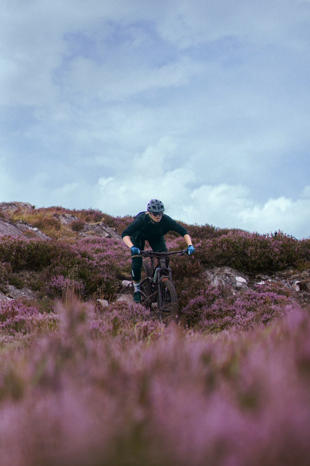a person riding a bike on a trail in a field of purple flowers