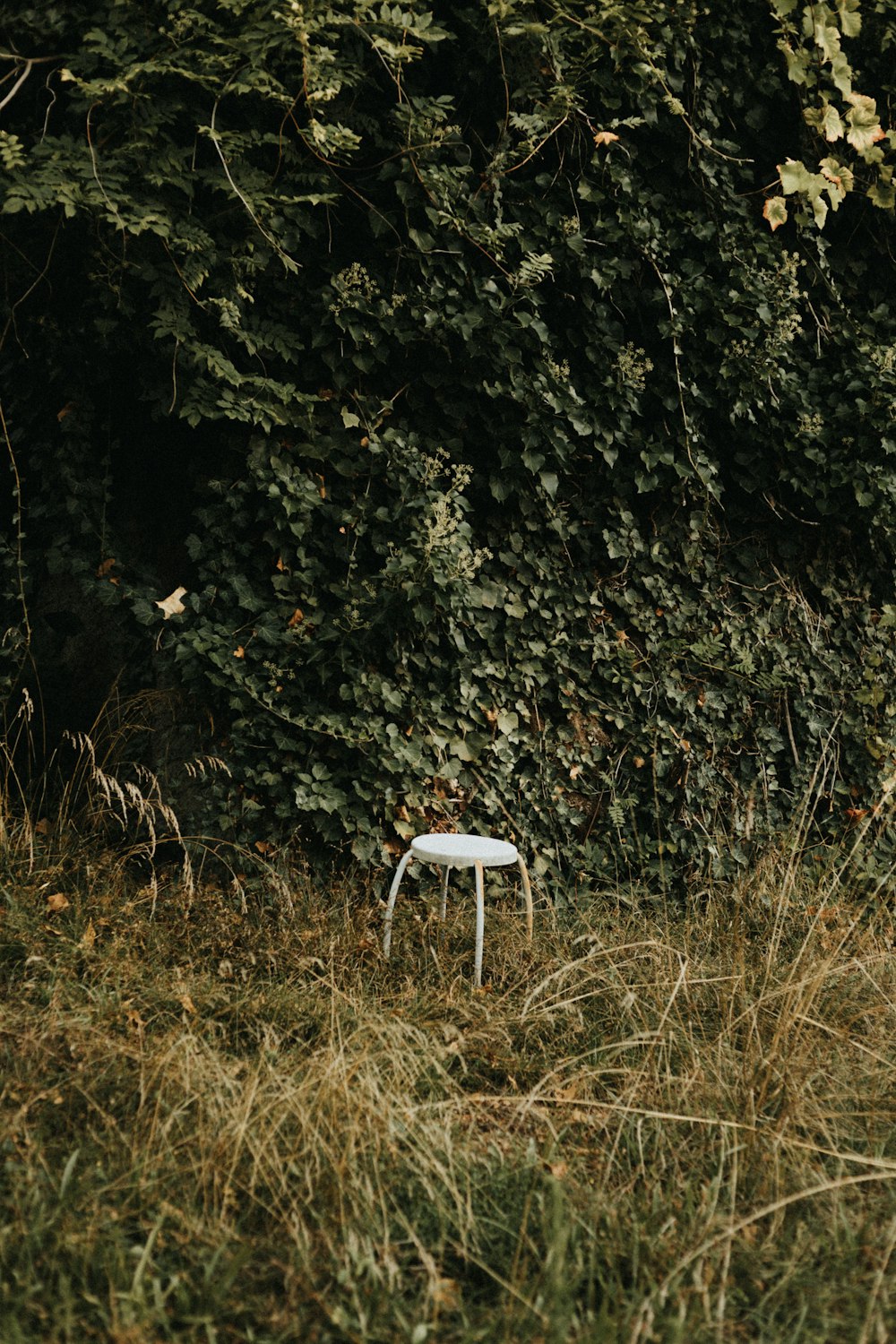 a chair in a field