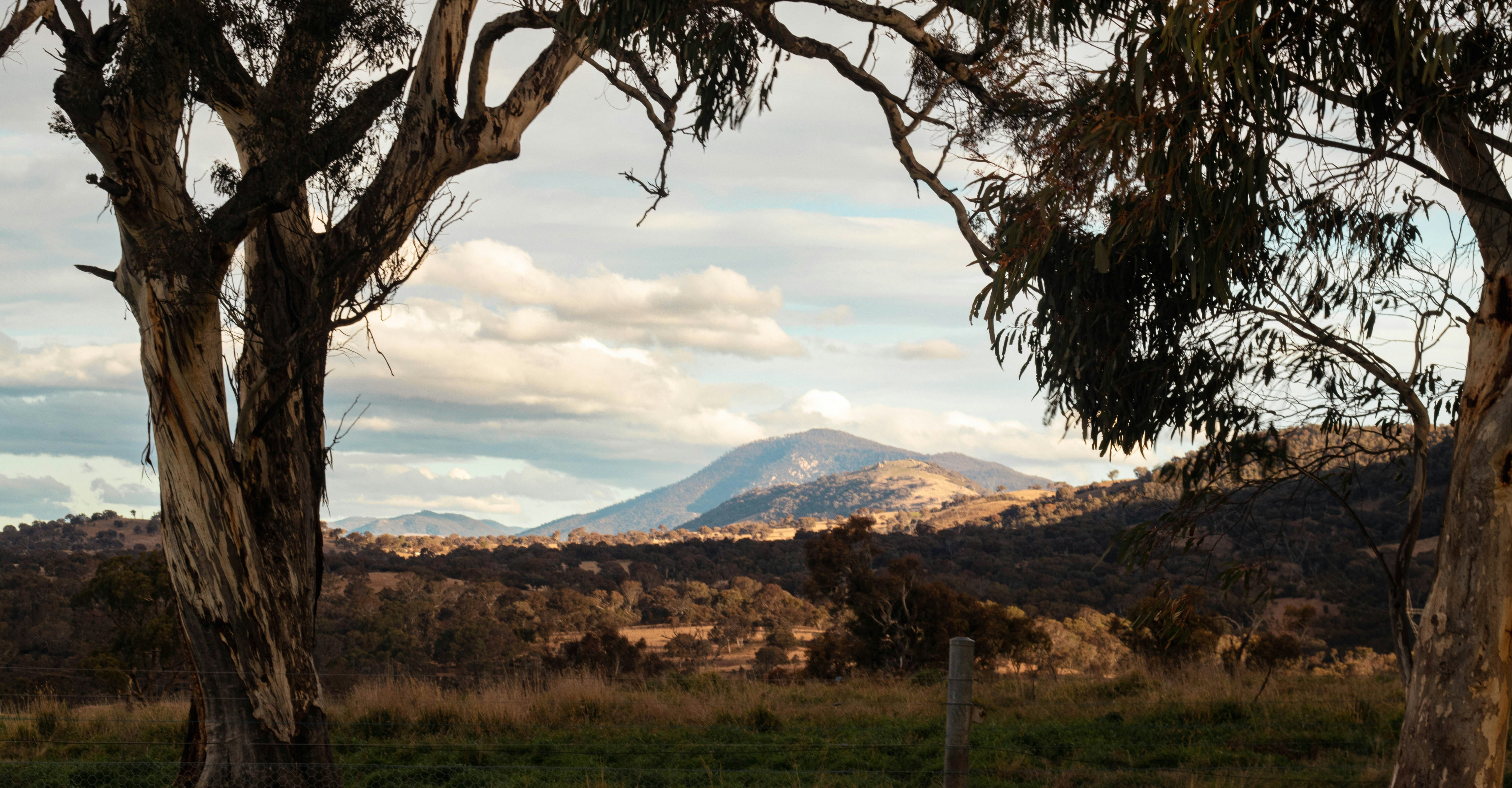 Photo by allansharp