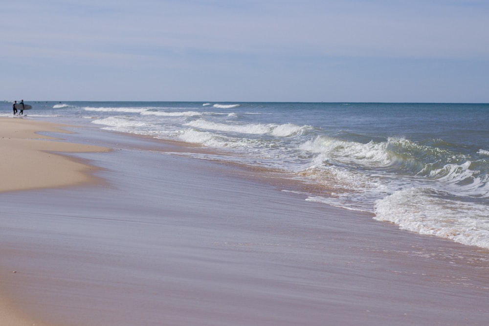 people walking on a beach