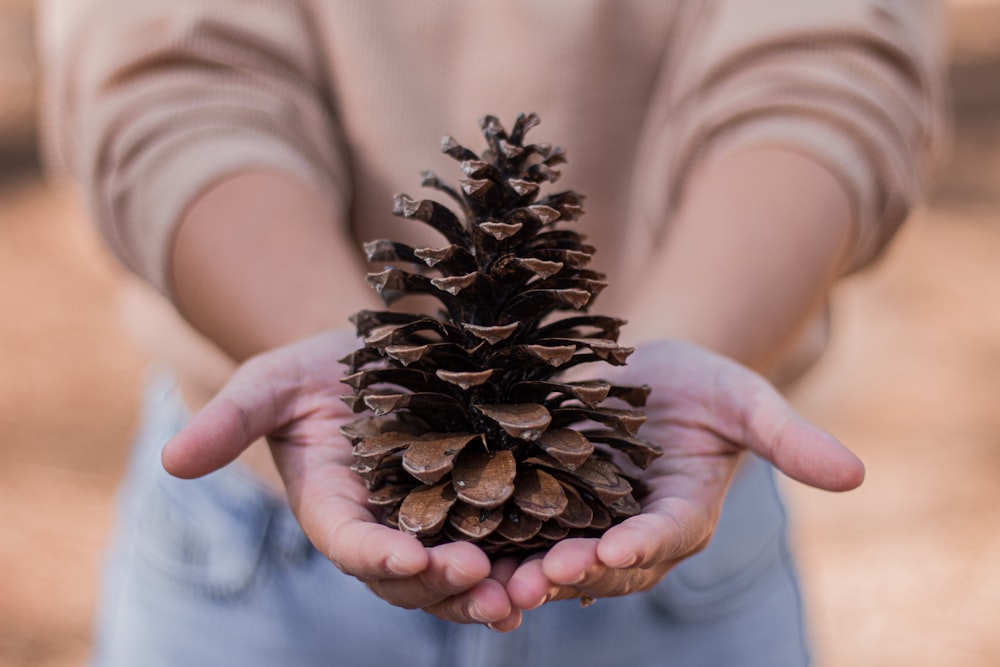 a person holding a pine cone
