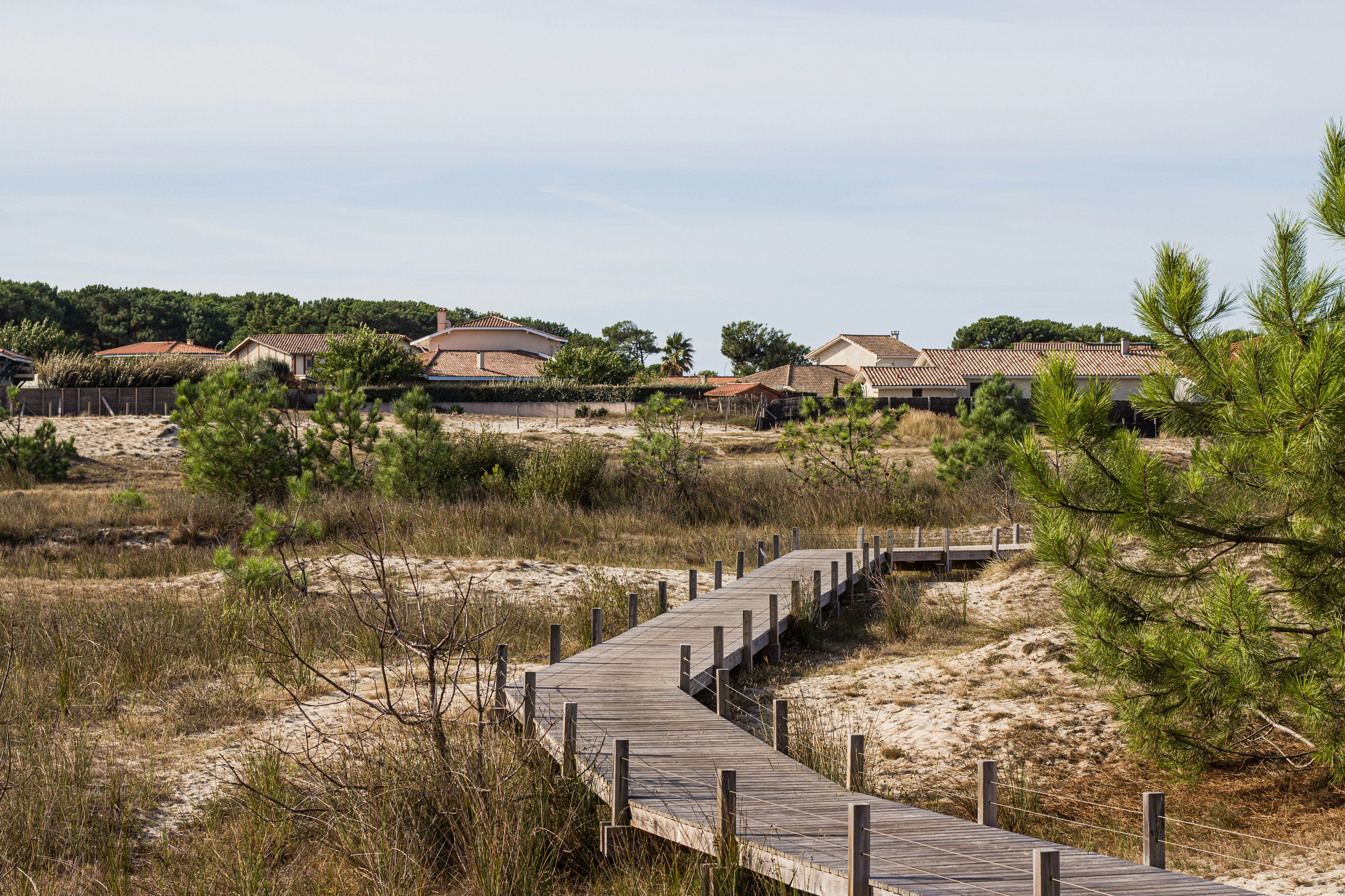 Photo by thanti_riess