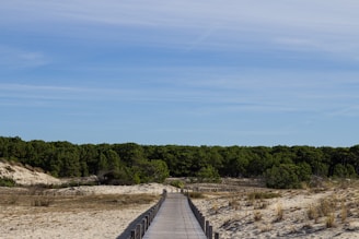 a wooden bridge over a sandy beach