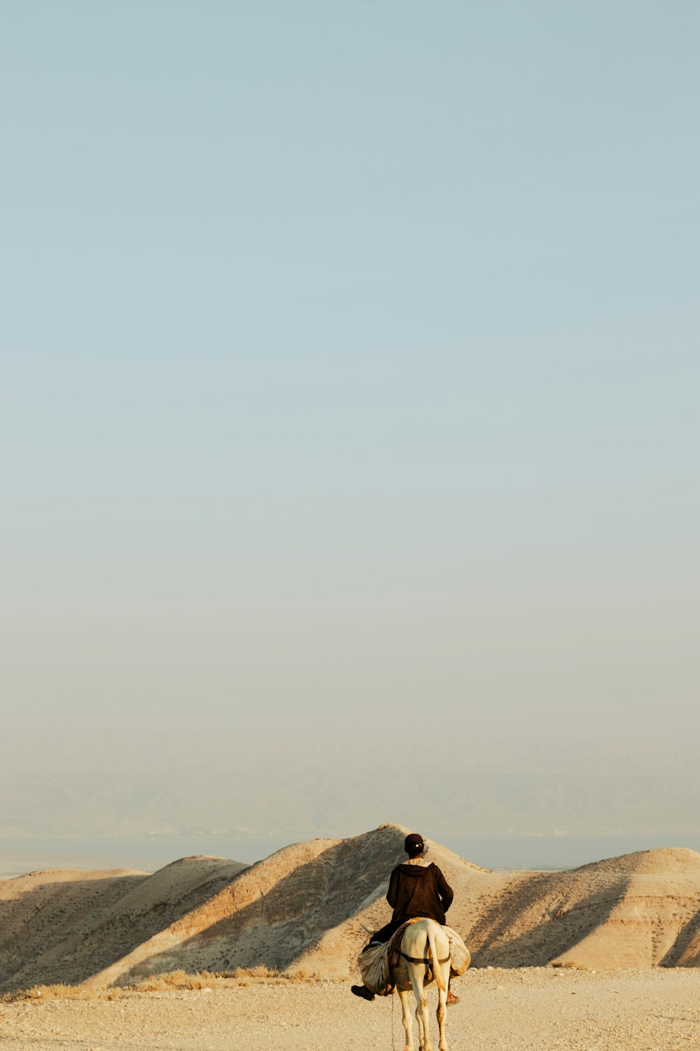 a person riding a camel