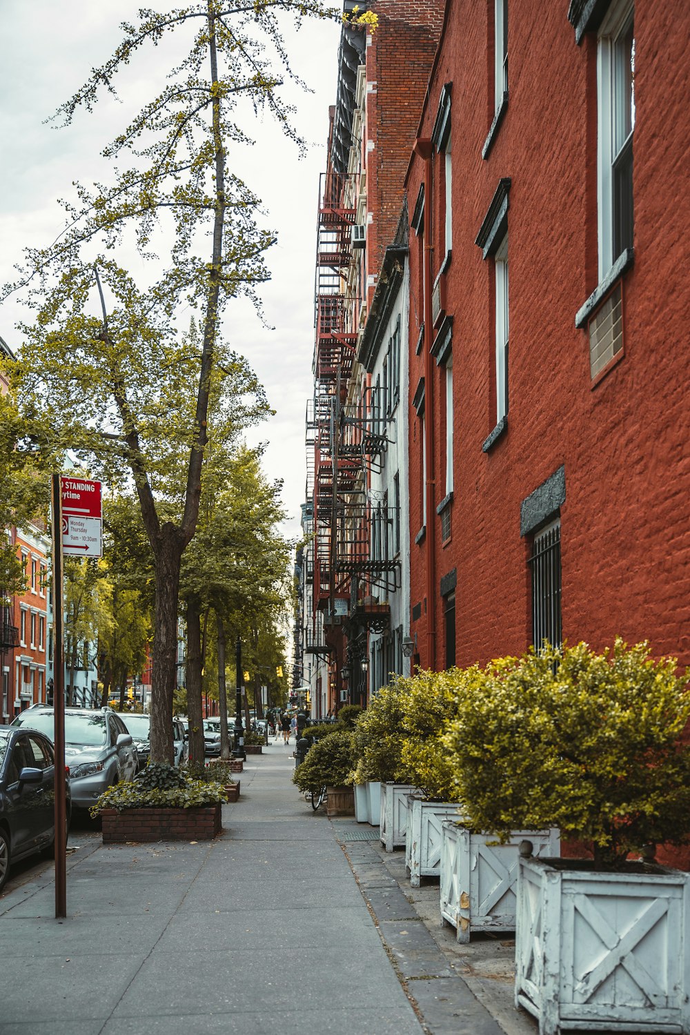 a sidewalk with a tree and a building with a sign on it