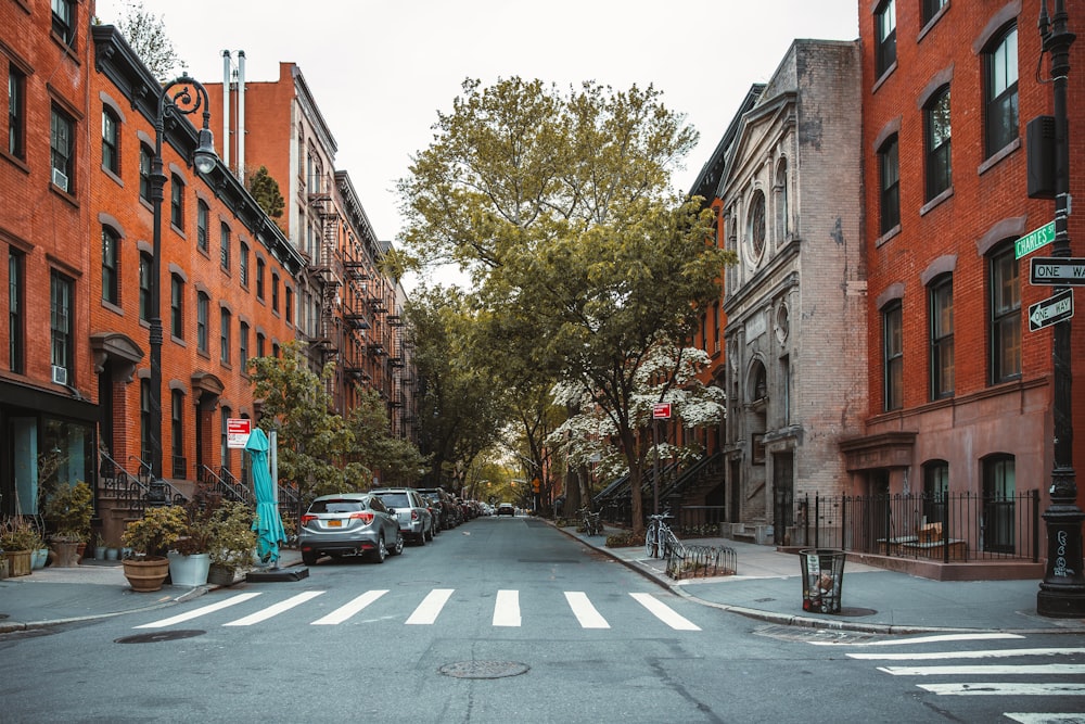 a street with cars and trees