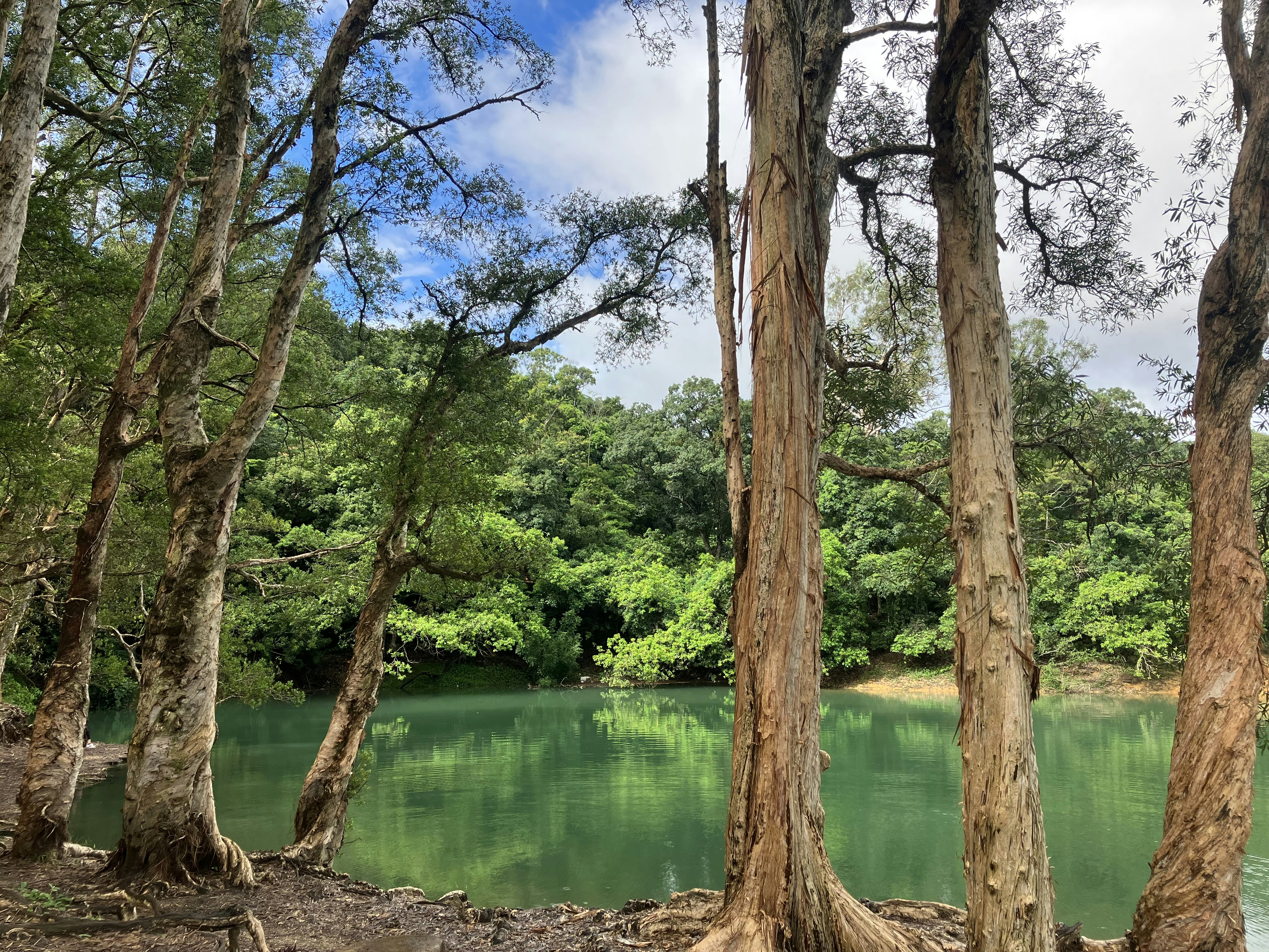 Photo by elliotgreen