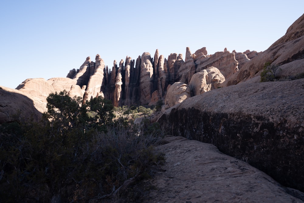 a rocky mountain with trees