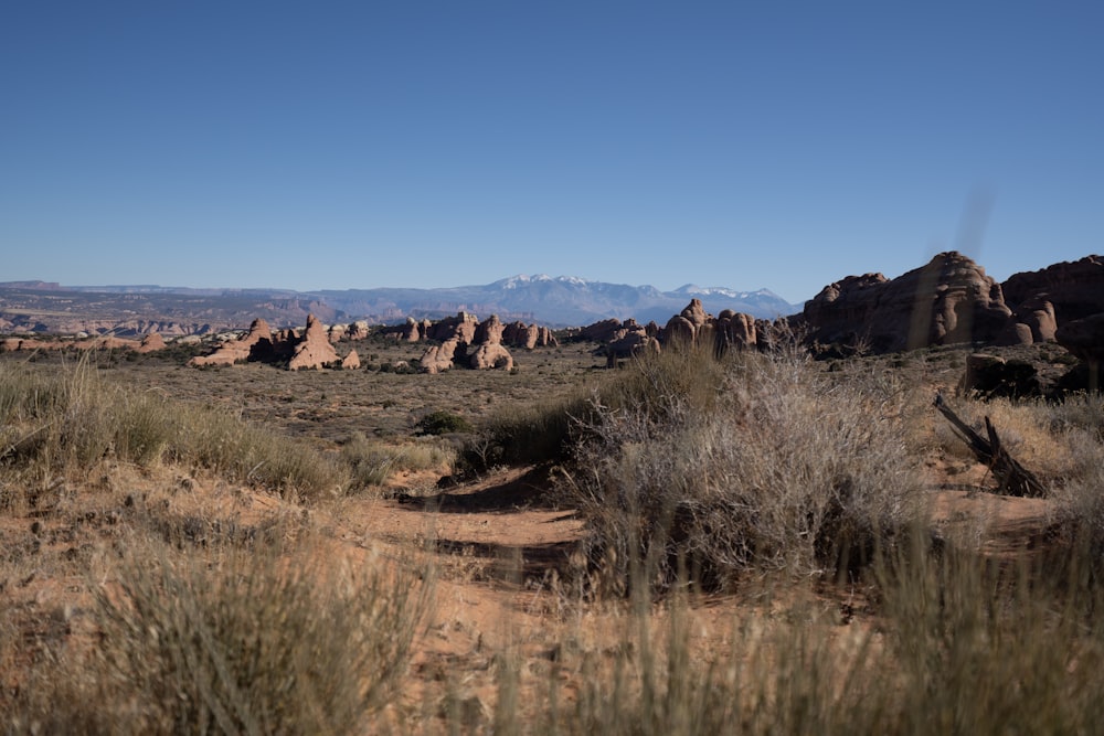 a landscape with rocks and grass