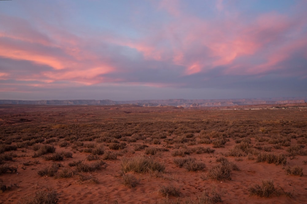 a desert landscape with a pink and blue sky