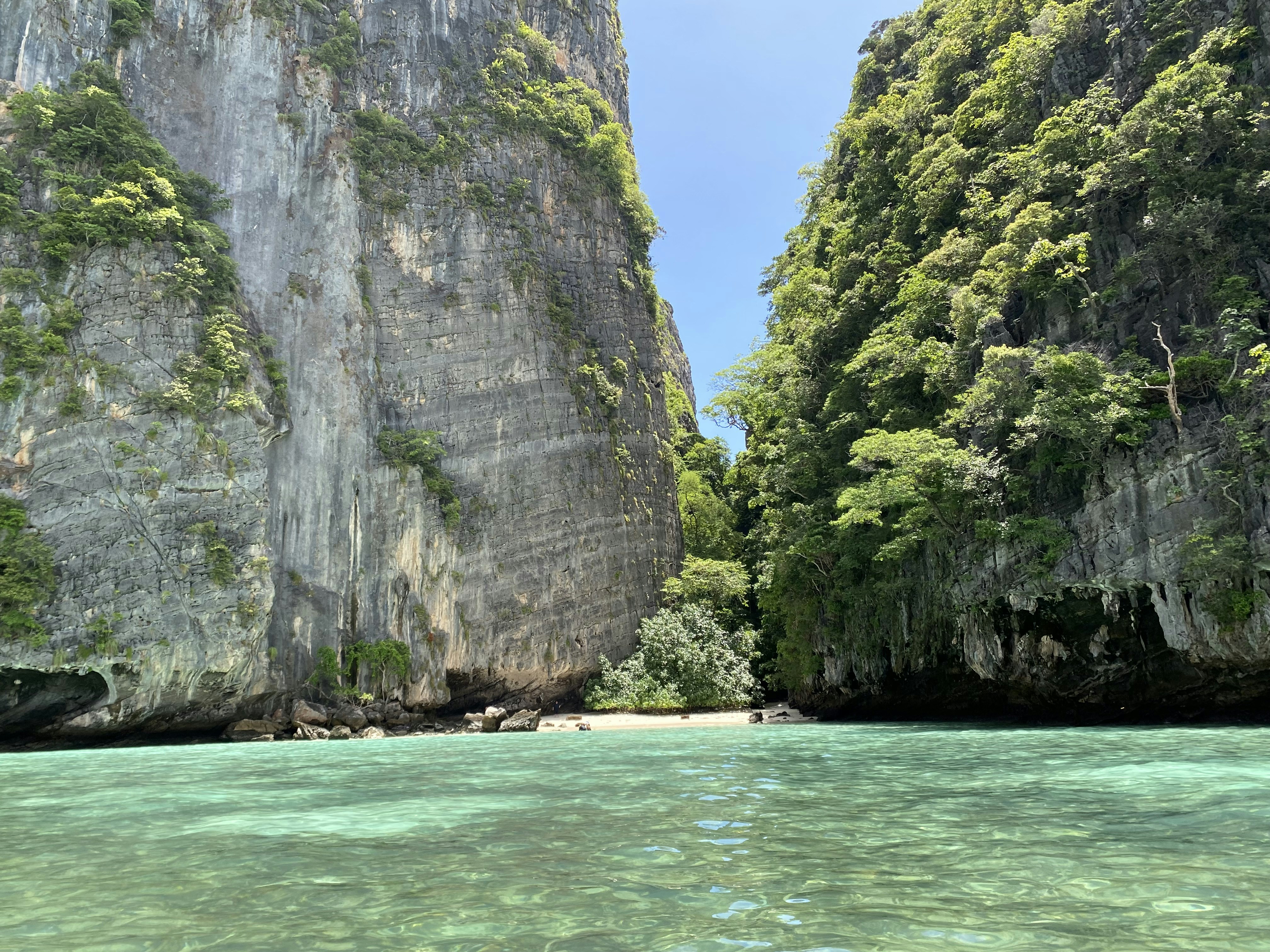 Photo by elliotgreen