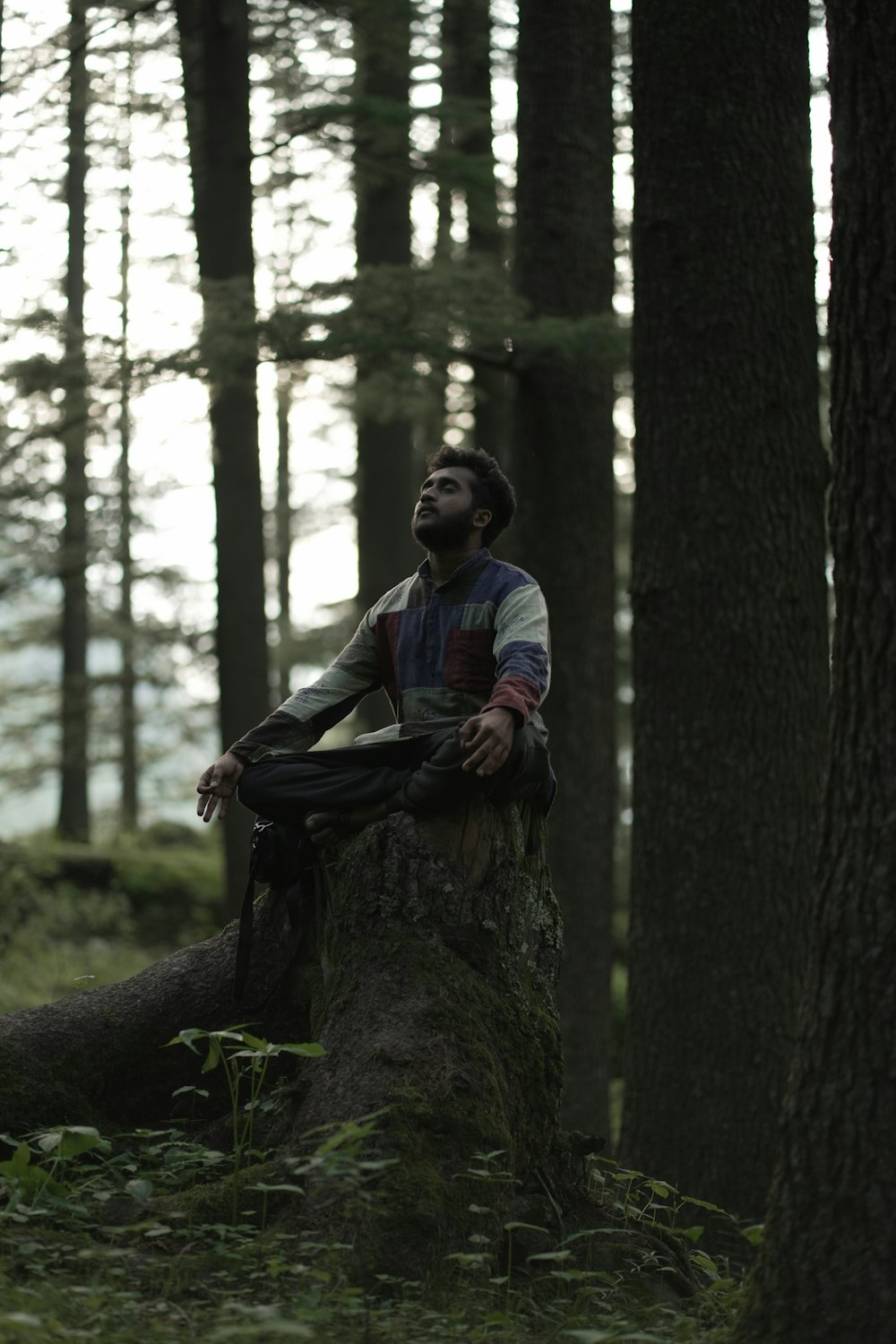 a man sitting on a tree stump