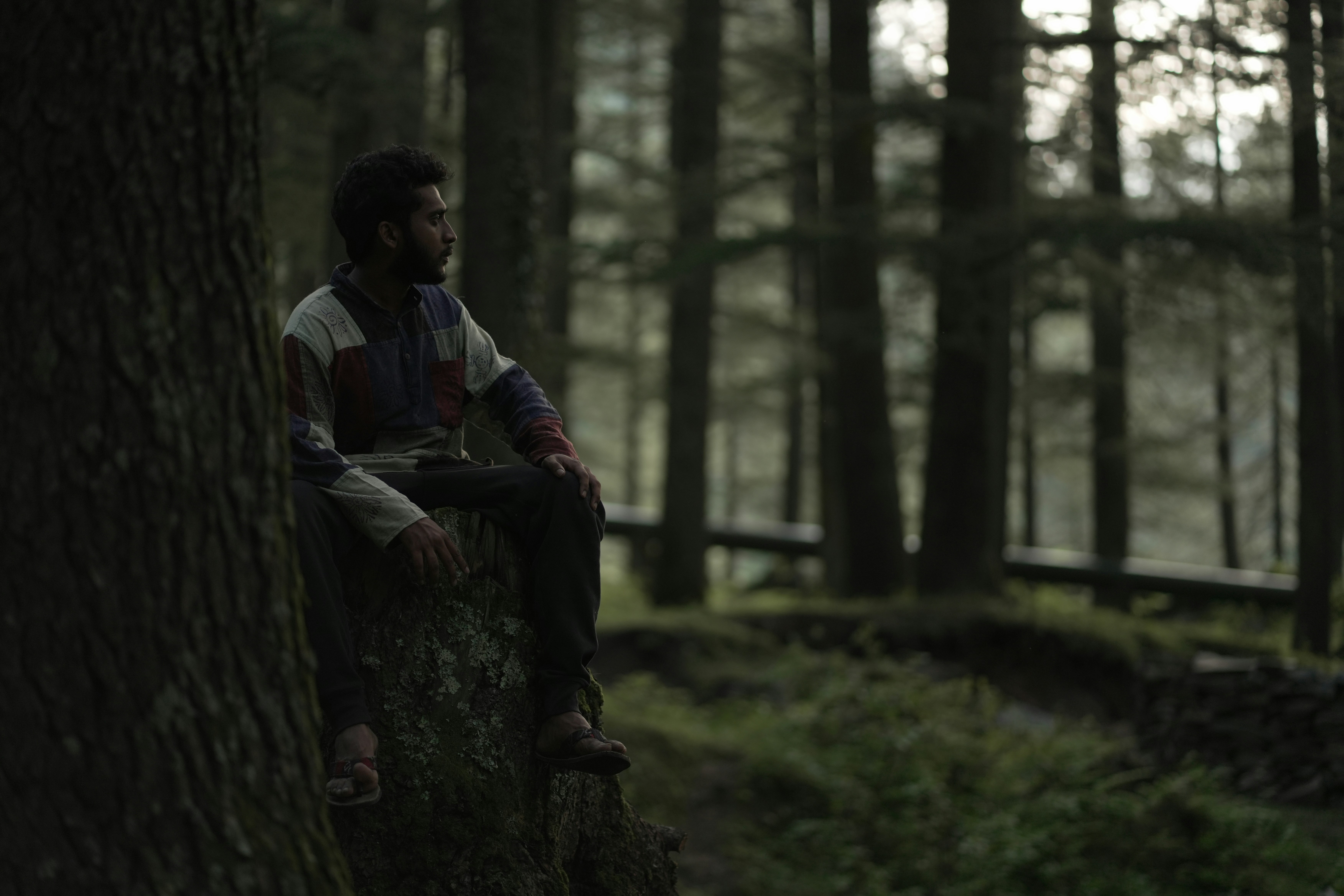 Ein Mann, der auf einem Baumstumpf in einem Wald sitzt