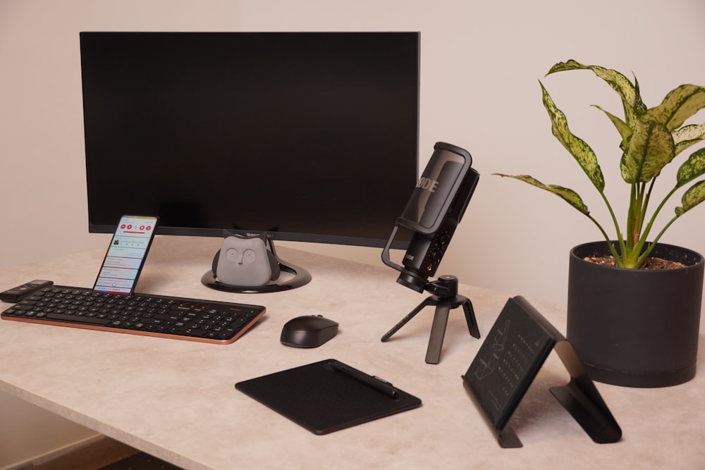 a desk with a computer and a plant