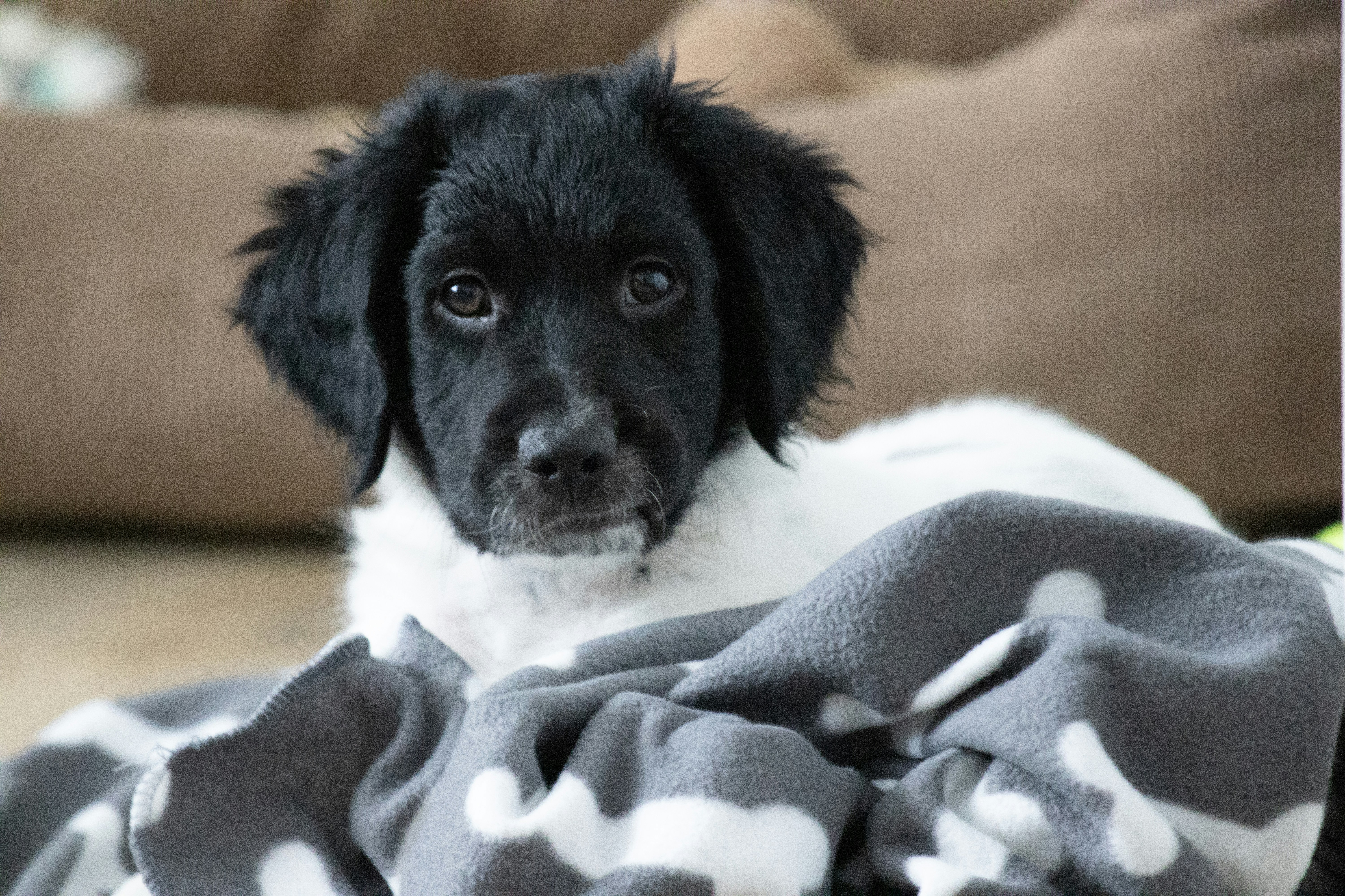Afbeelding van Smilde