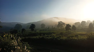 A cinematic shot of mist rising over a landscape shaped by ecological restoration efforts.