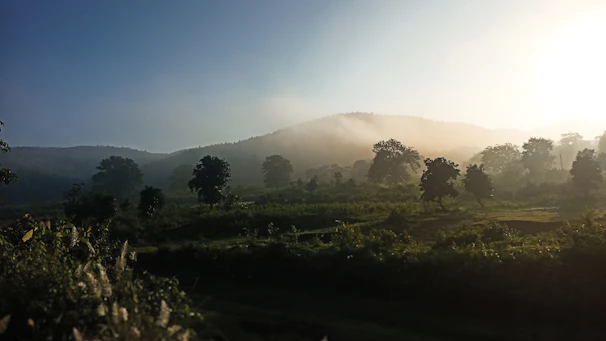 A cinematic shot of mist rising over a landscape shaped by ecological restoration efforts.