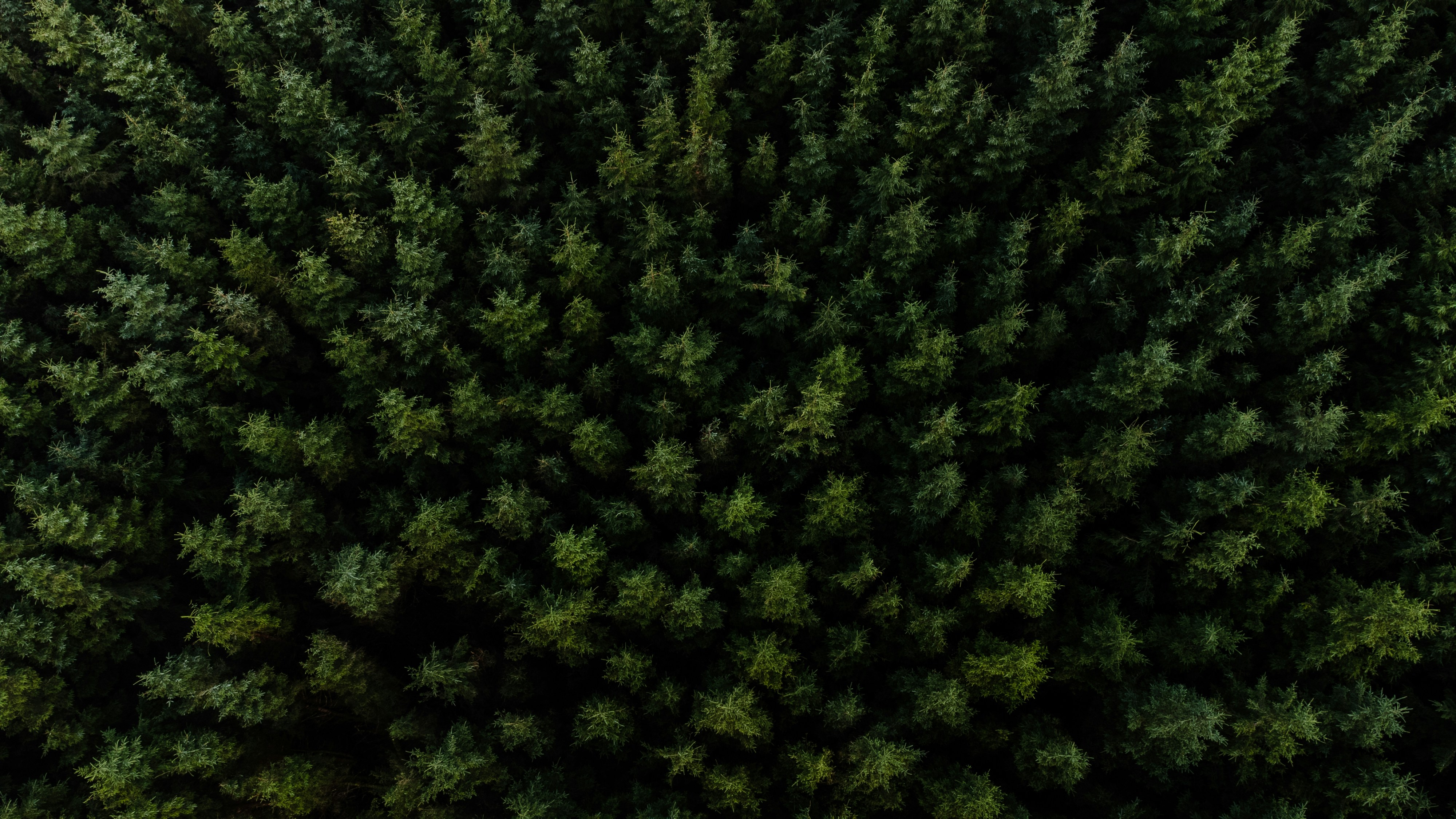 Photo by stephenjamesrheeder