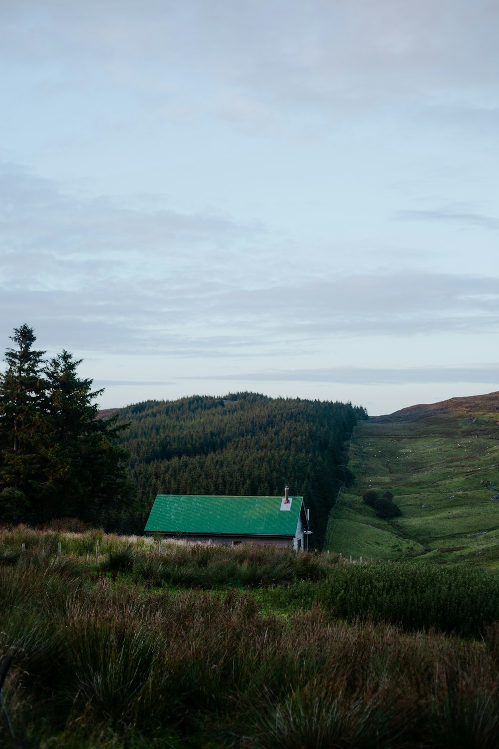 a green building in a grassy field