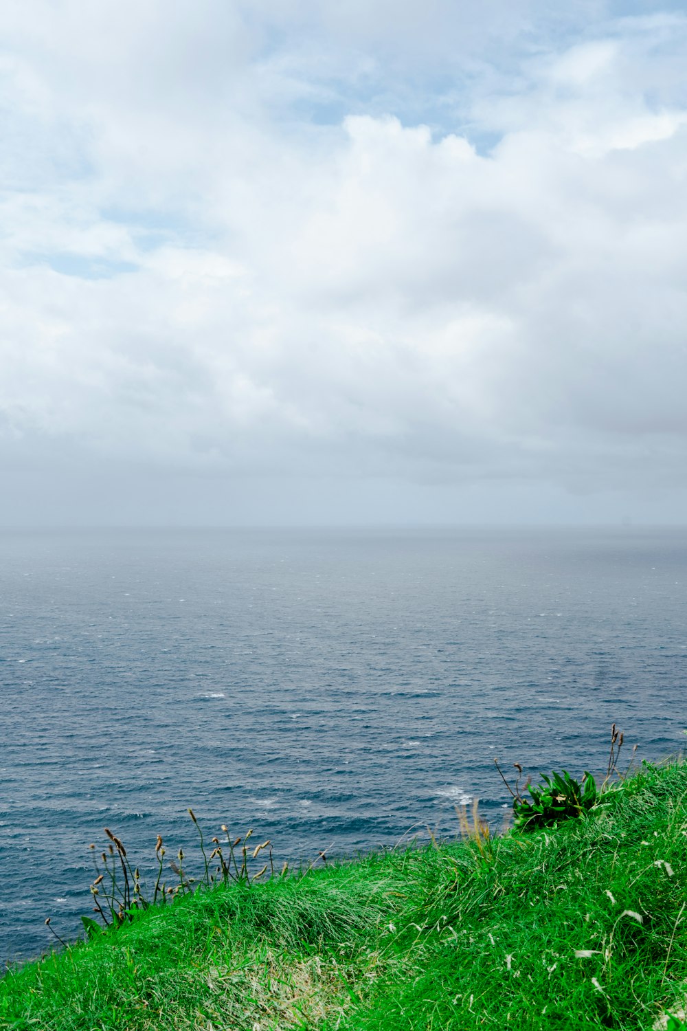 a body of water with grass and a cloudy sky