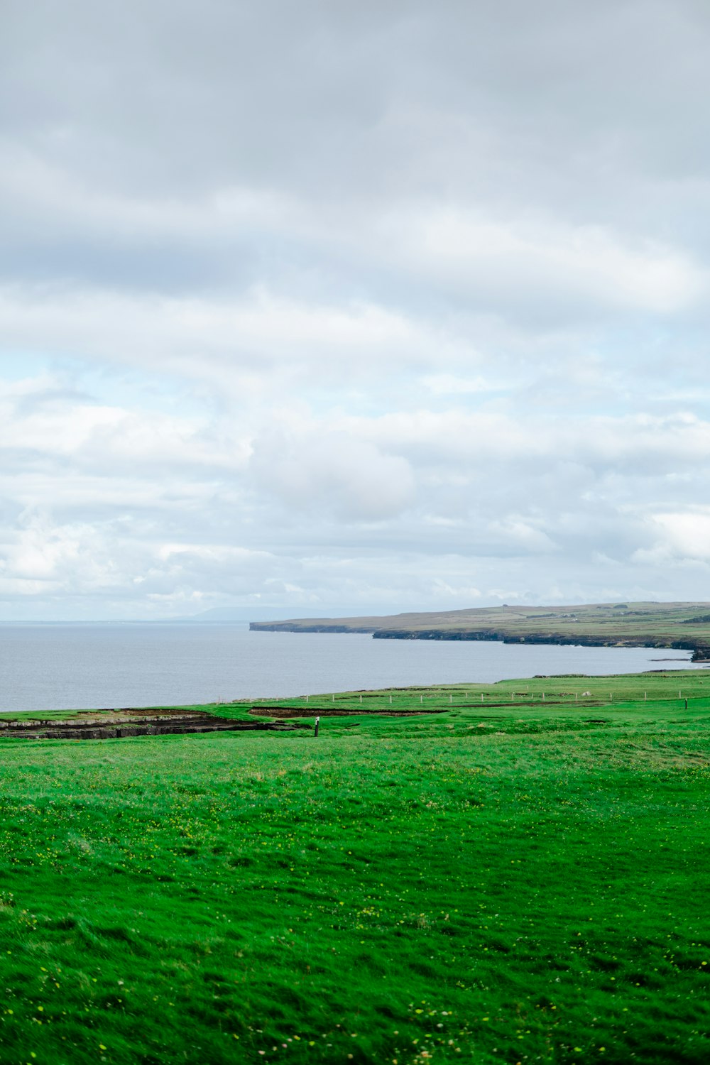 a grassy area with water in the background