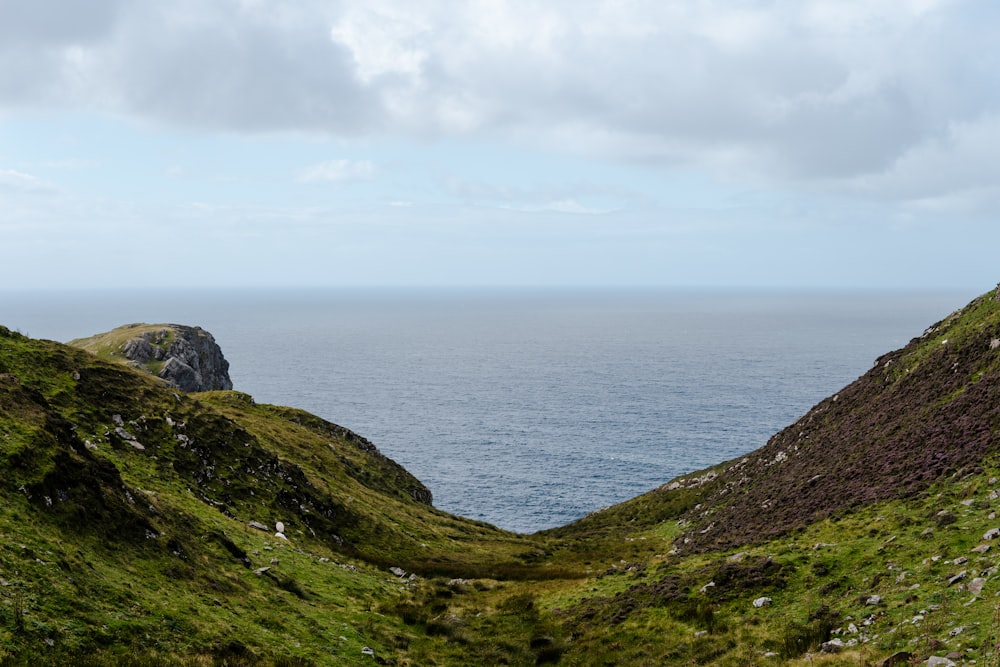 a grassy hillside overlooking a body of water