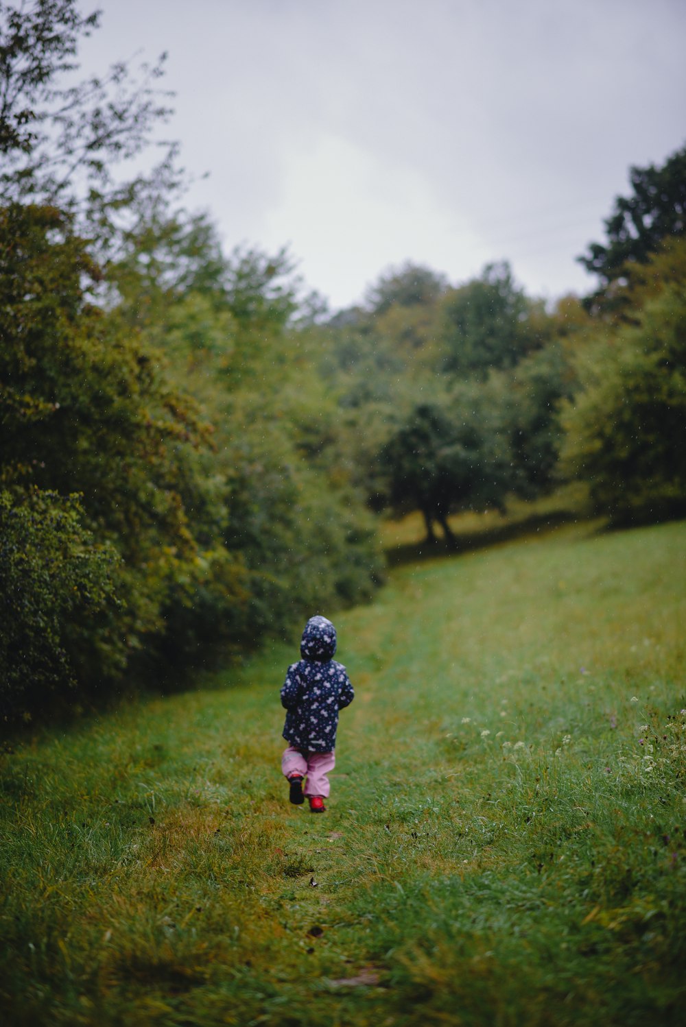 un enfant marchant dans un champ