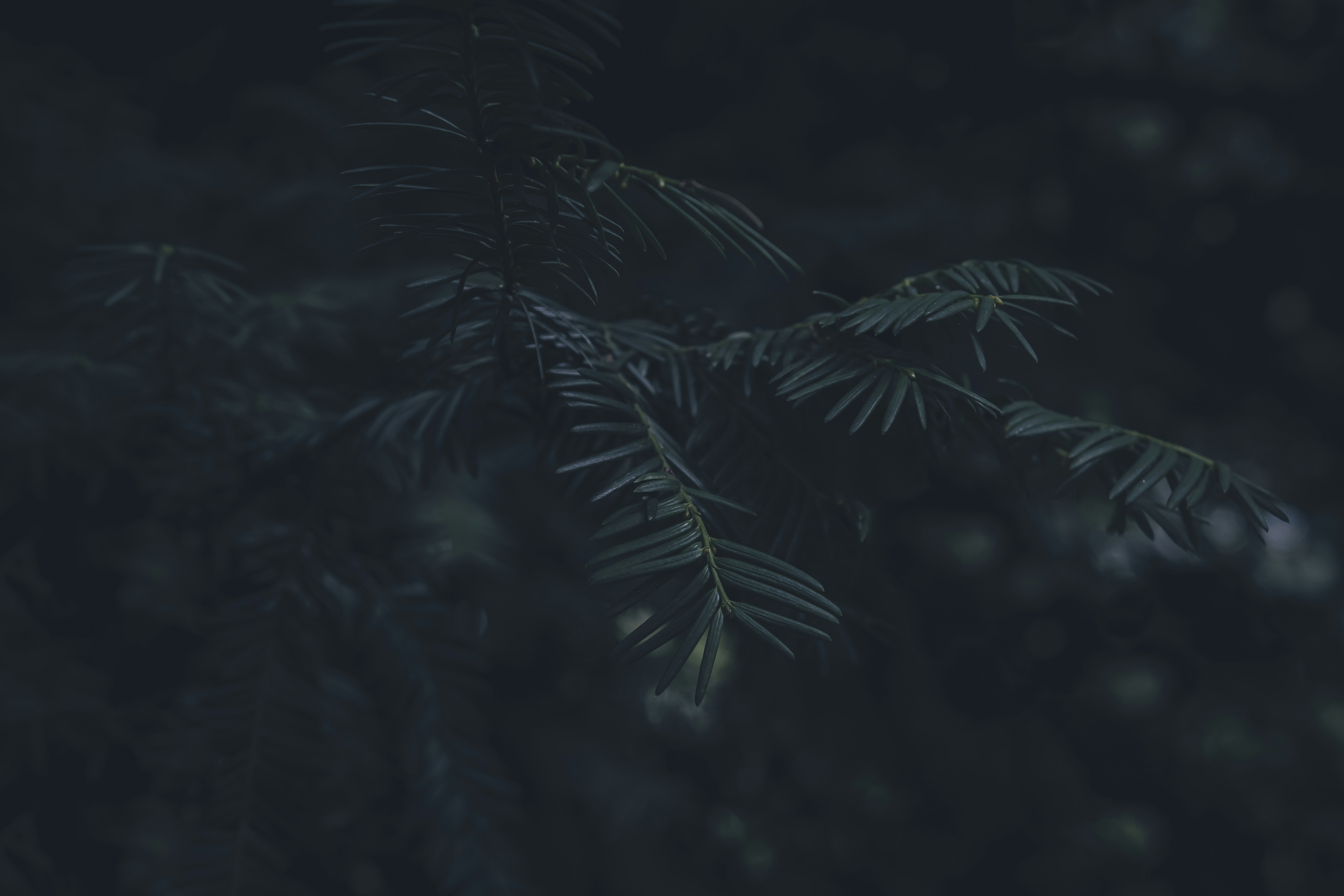 Les impacts de la solitude